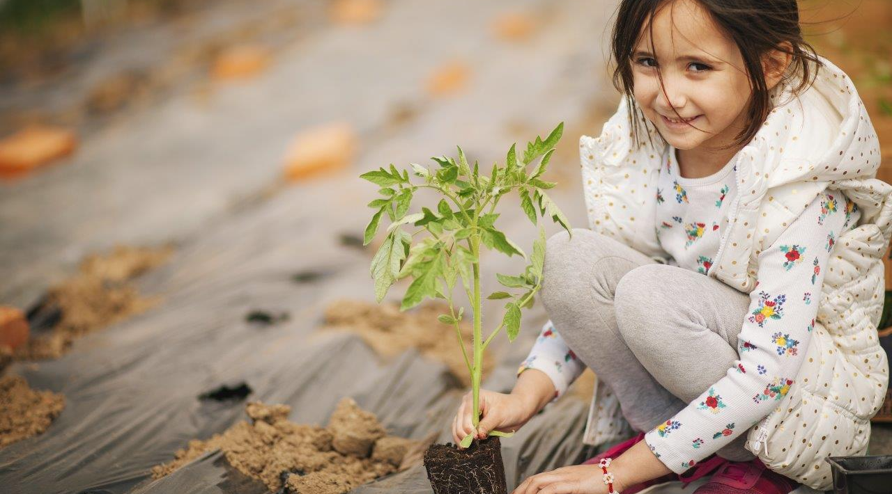 dieťa sa učí starostlivosti o rastlinu aj investície